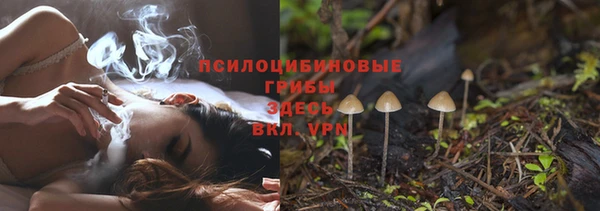 ГАЛЛЮЦИНОГЕННЫЕ ГРИБЫ Нея