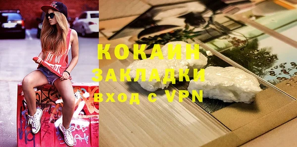 ГАЛЛЮЦИНОГЕННЫЕ ГРИБЫ Нея