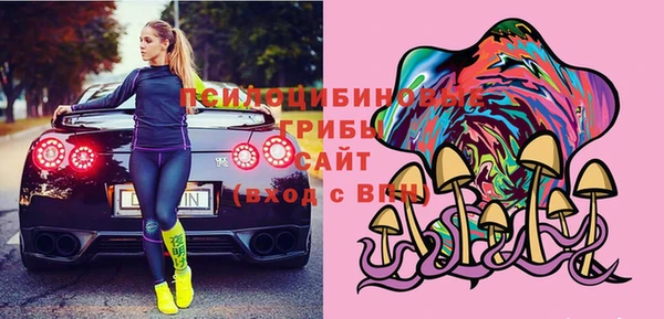 ГАЛЛЮЦИНОГЕННЫЕ ГРИБЫ Нея