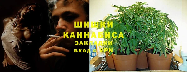 ГАЛЛЮЦИНОГЕННЫЕ ГРИБЫ Нея