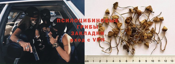 мяу мяу мука Нефтекумск