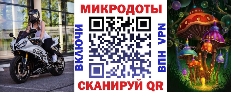 Галлюциногенные грибы Cubensis  что такое   Челябинск 