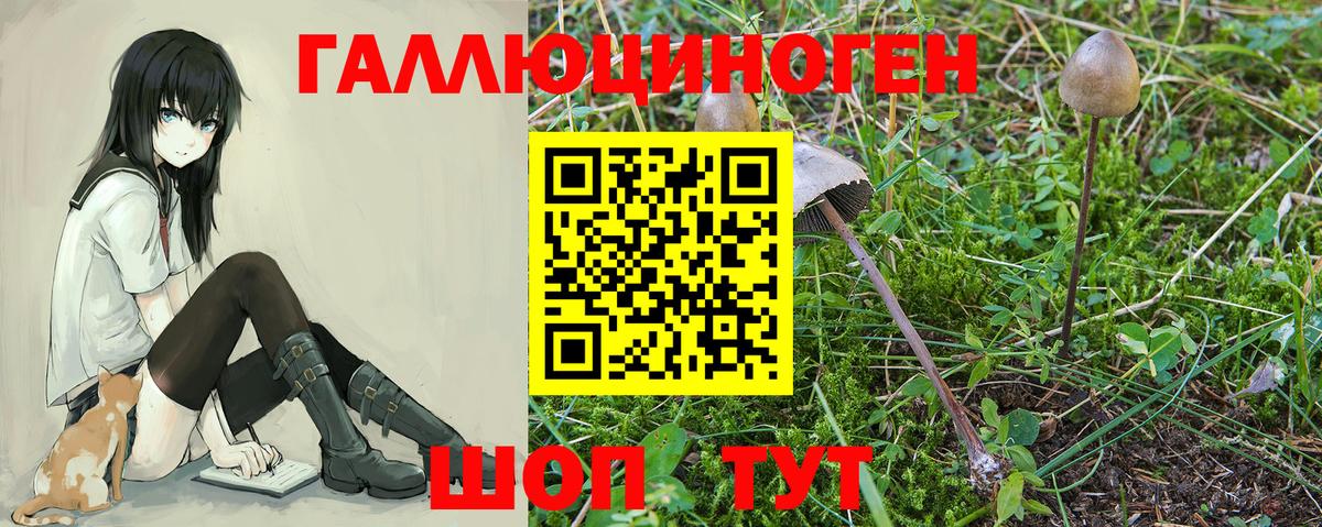 Челябинск  Псилоцибиновые грибы мицелий  Вход с VPN 