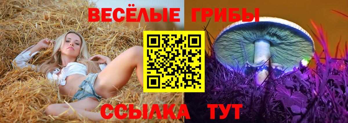 Псилоцибиновые грибы Psilocybine cubensis Челябинск
